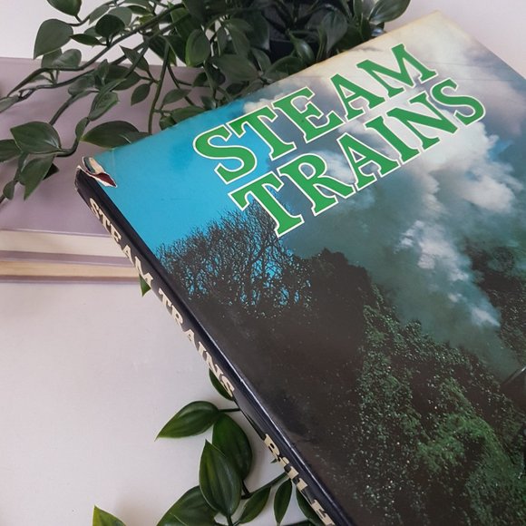 Book Steam Trains by Bill Hayes Galahad Books Travel History Railroad Railway - Picture 7 of 9